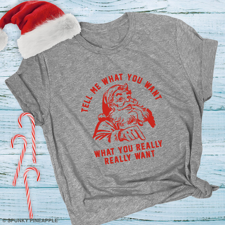 Tell Me What You Want What You Really Really Want Premium Unisex T-Shirt