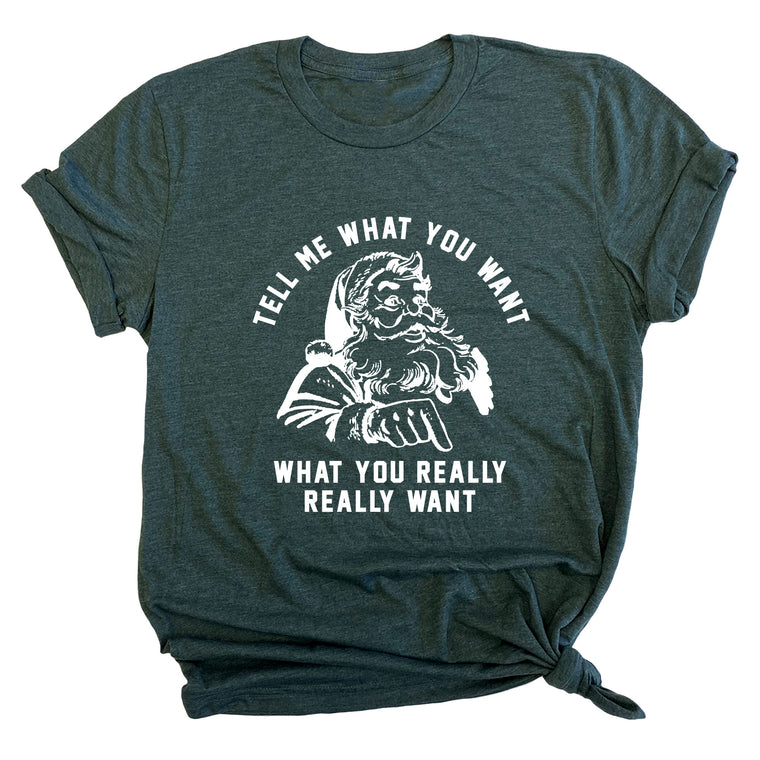 Tell Me What You Want What You Really Really Want Premium Unisex T-Shirt