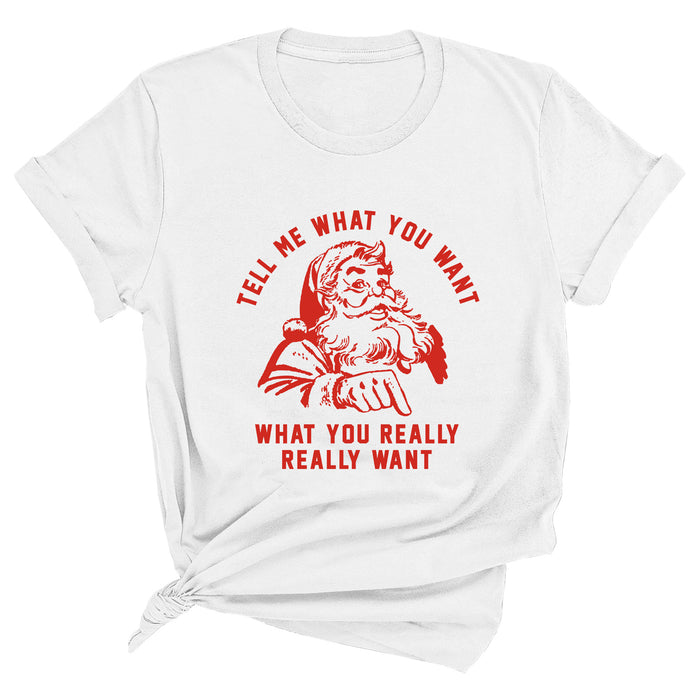 Tell Me What You Want What You Really Really Want Premium Unisex T-Shirt